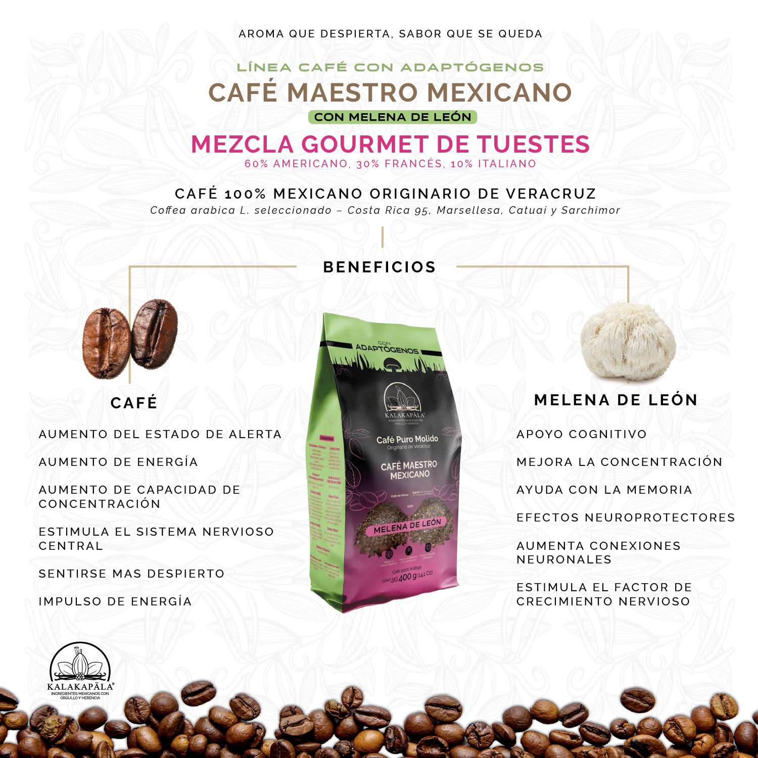Café Molido con Melena de León miniatura 2